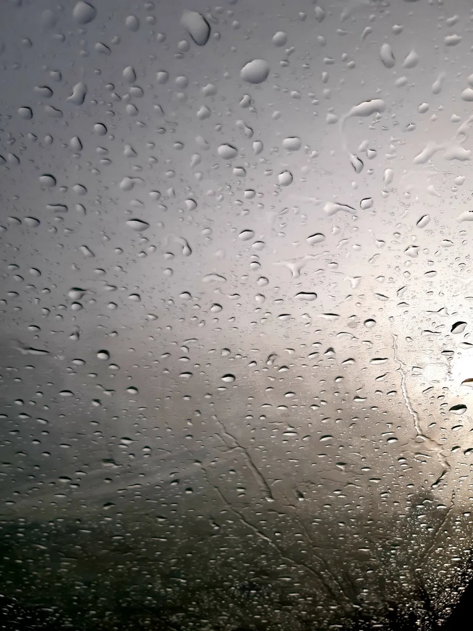 20211117_125427.jpg