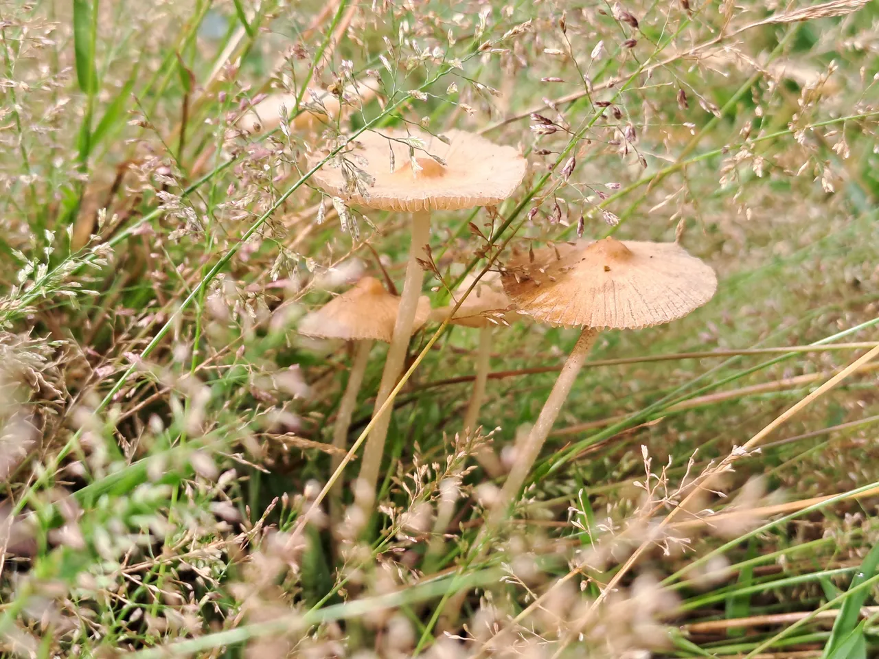 20251002_090935.jpg