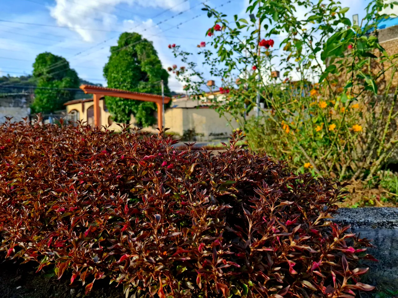 20250913_174427.jpg