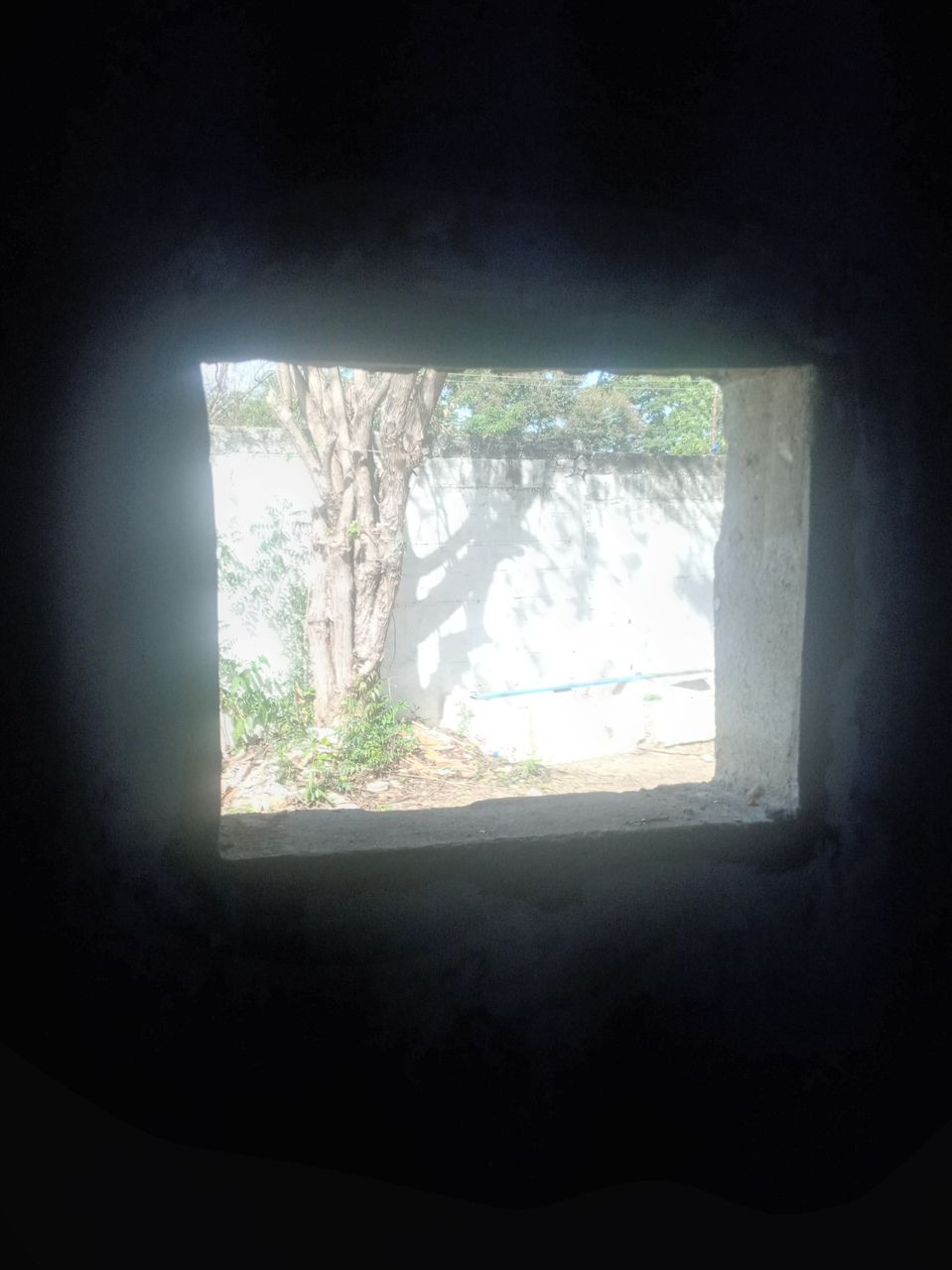 20251218_093507.jpg