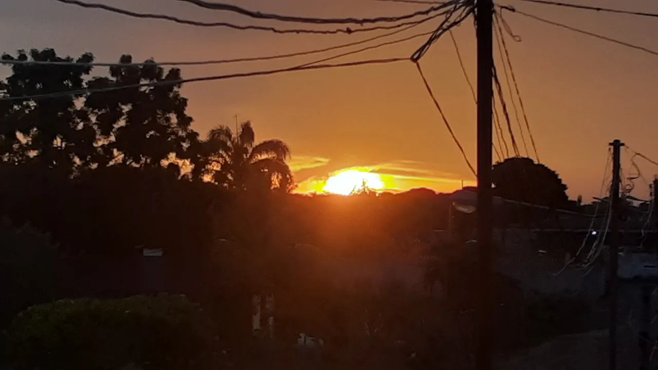 20221017_175931.jpg