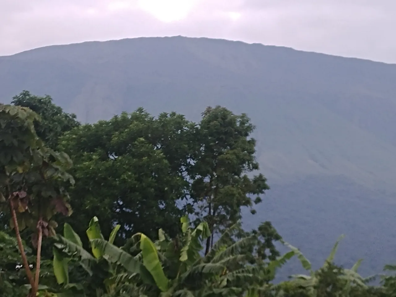20210606_063513.jpg