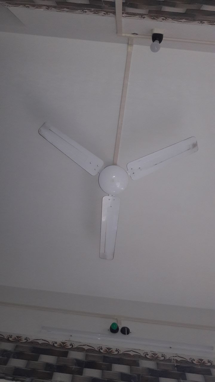 20200814_160531.jpg