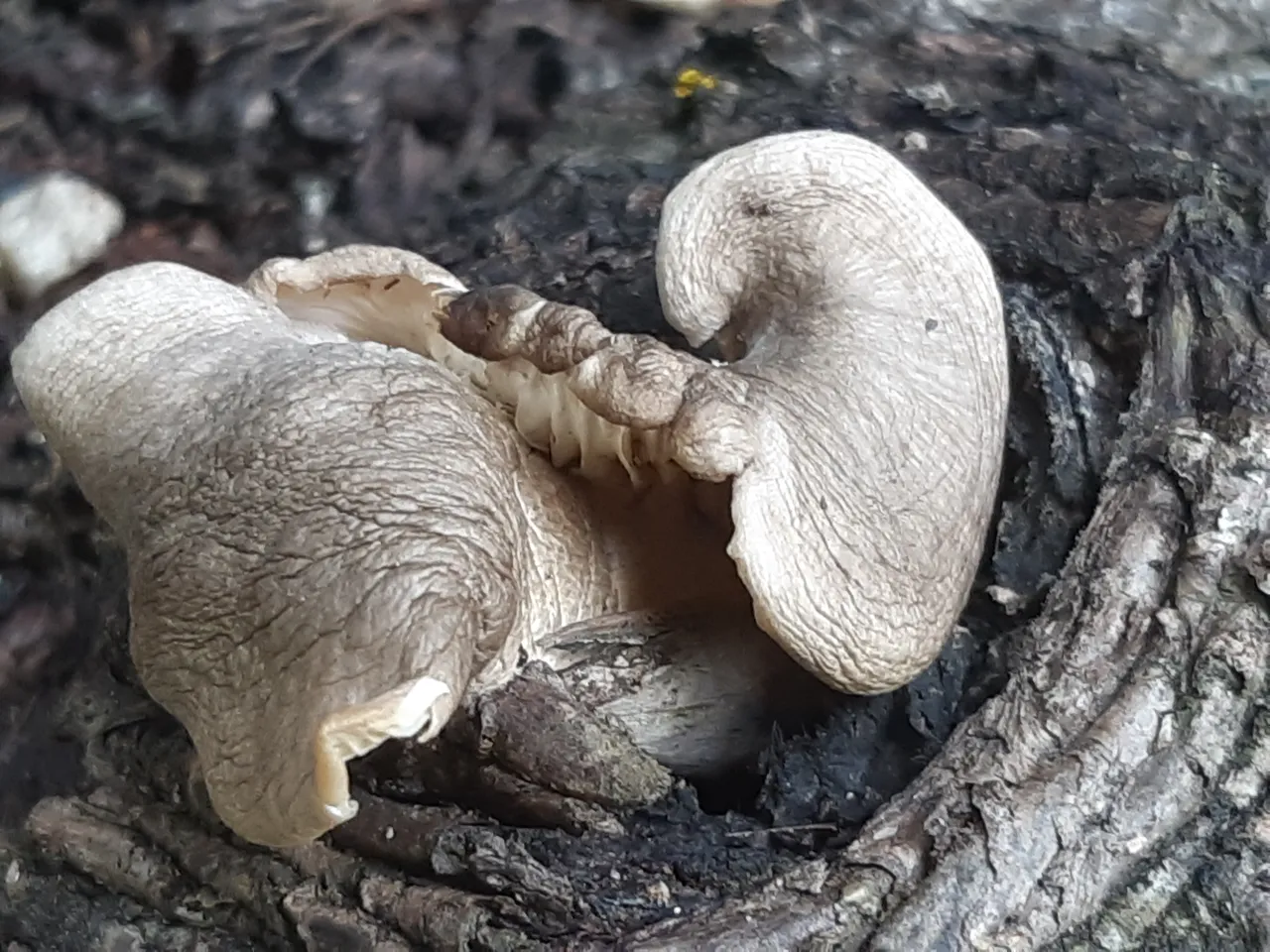 20210522_132154.jpg