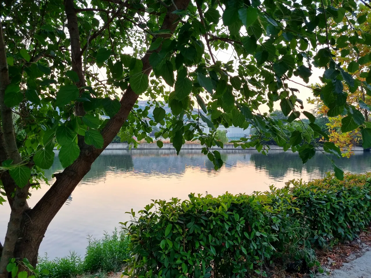 20230713_203808.jpg