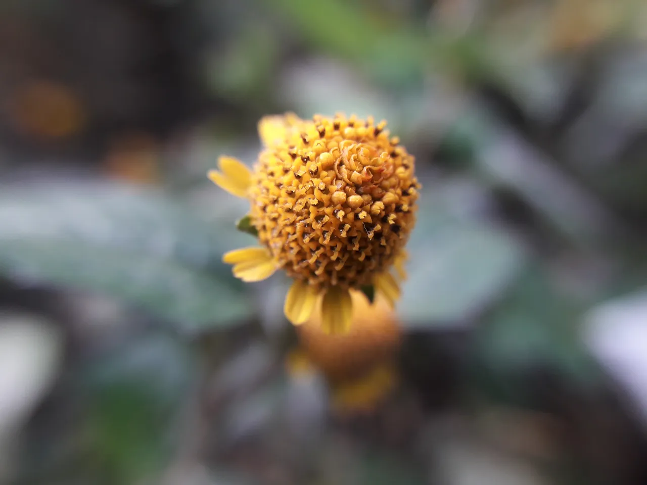 20220116_084423.jpg