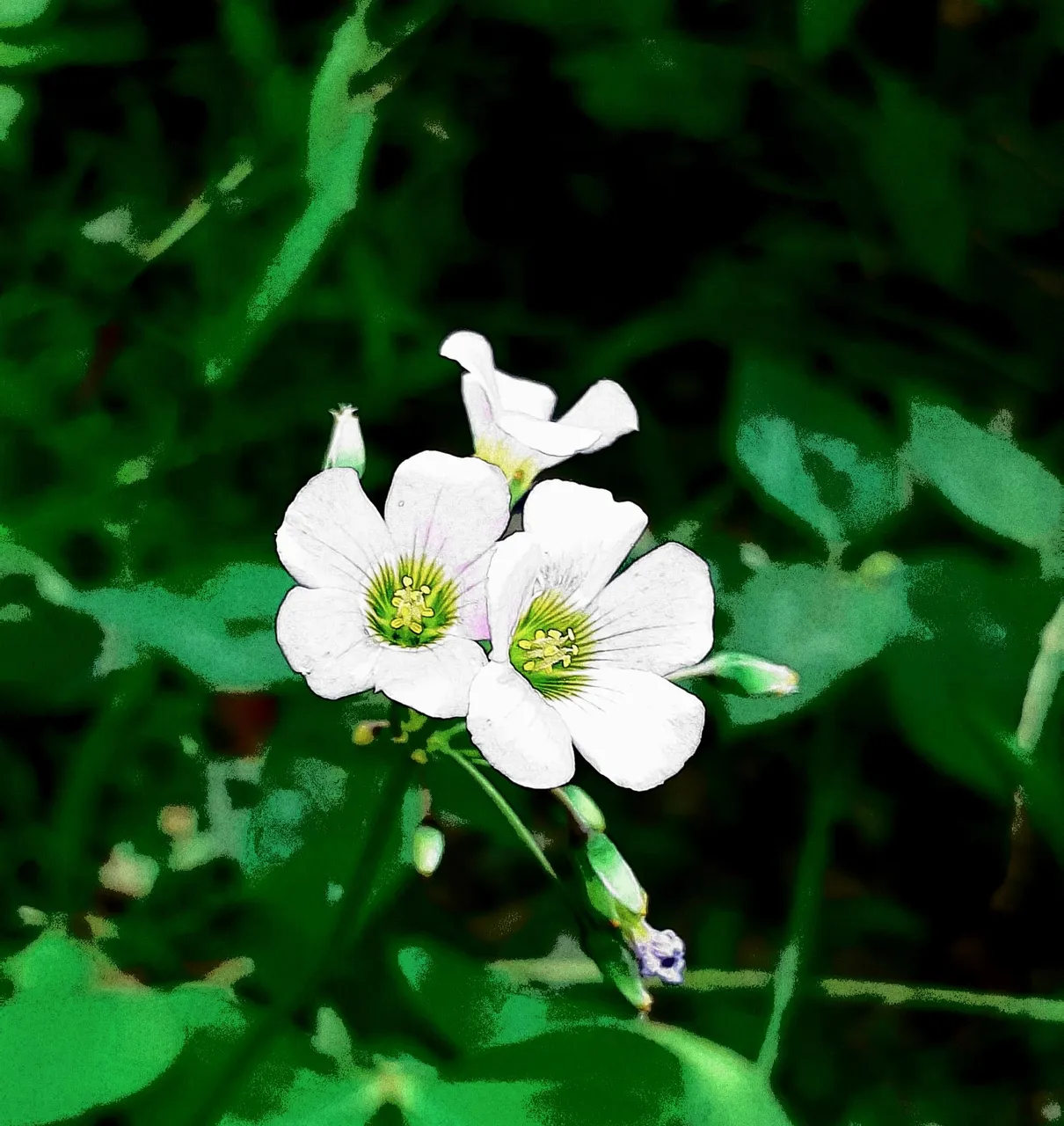 20201005_173246.jpg