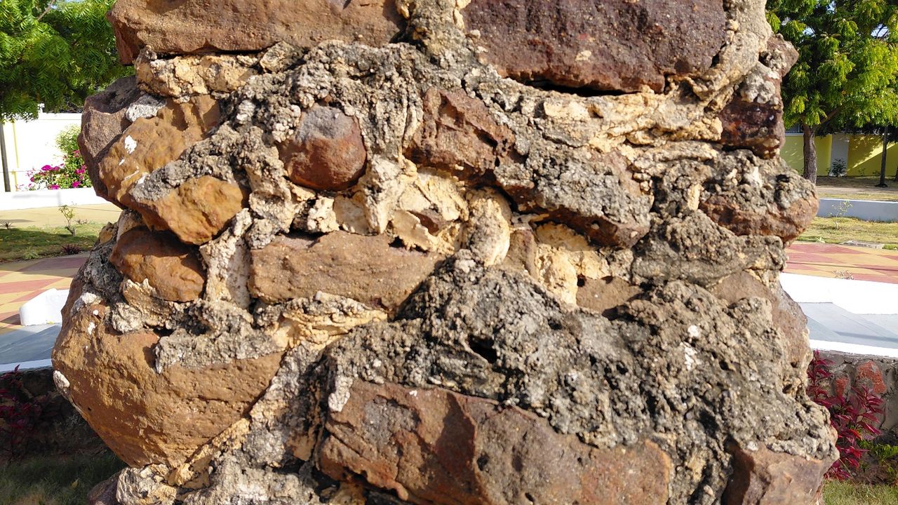 20251217_090157.jpg