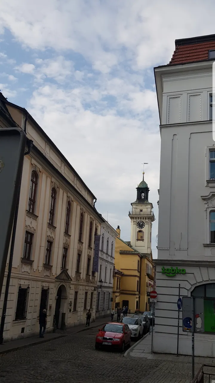20231027_180812.jpg