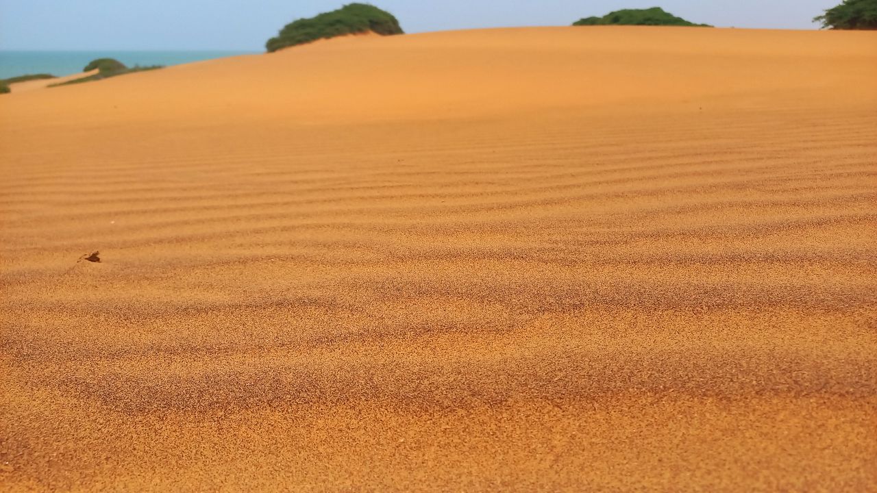 20230422_131259.jpg