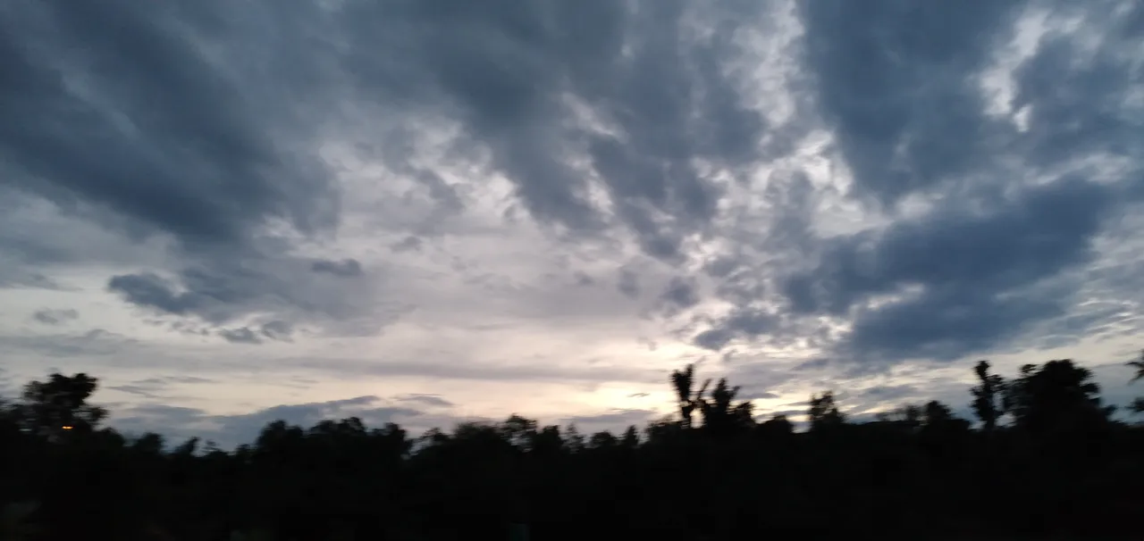 20230128_184506.jpg