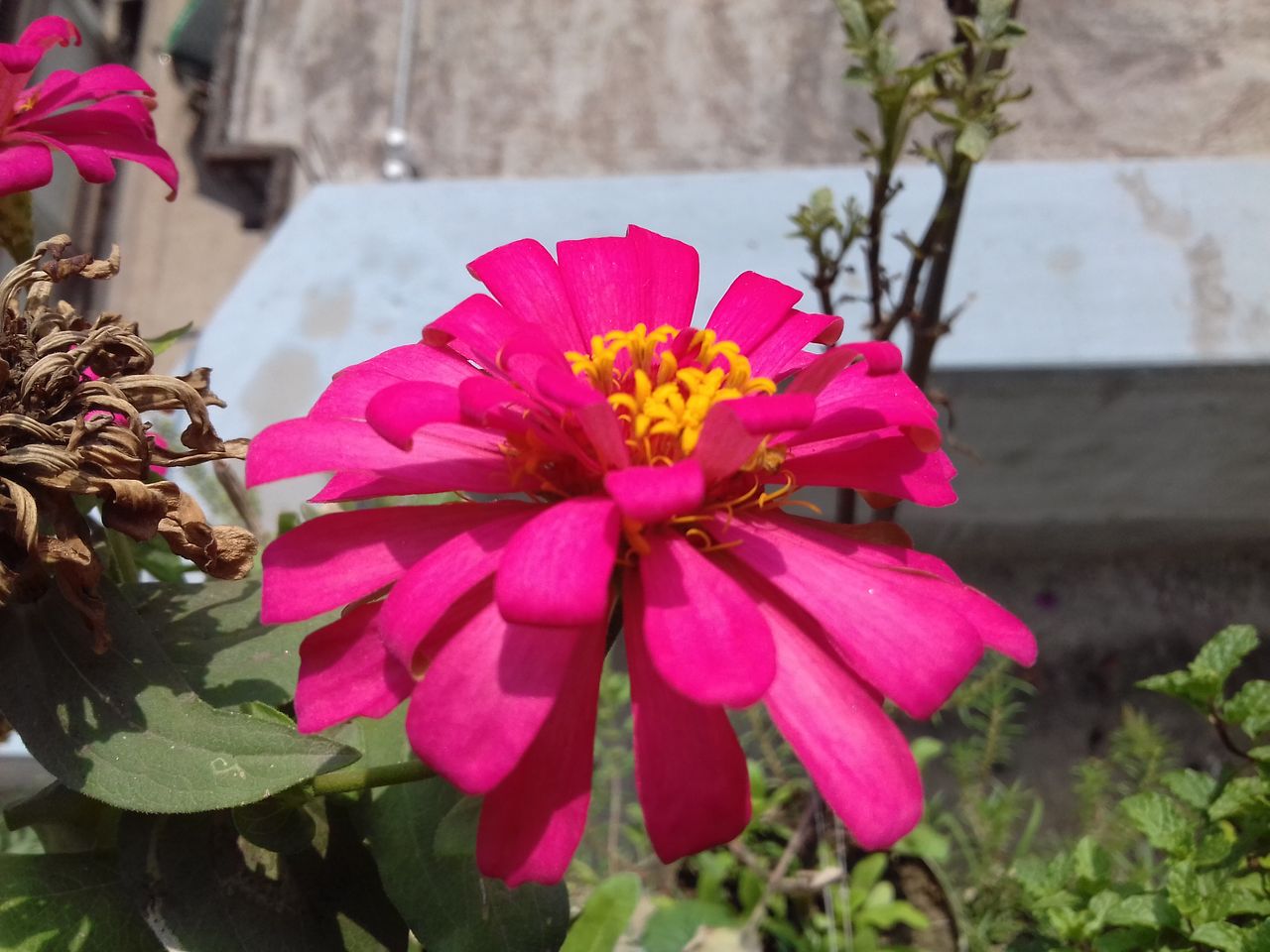 20190412_094846.jpg