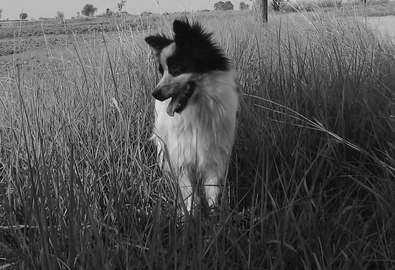 20260519_082017.jpg