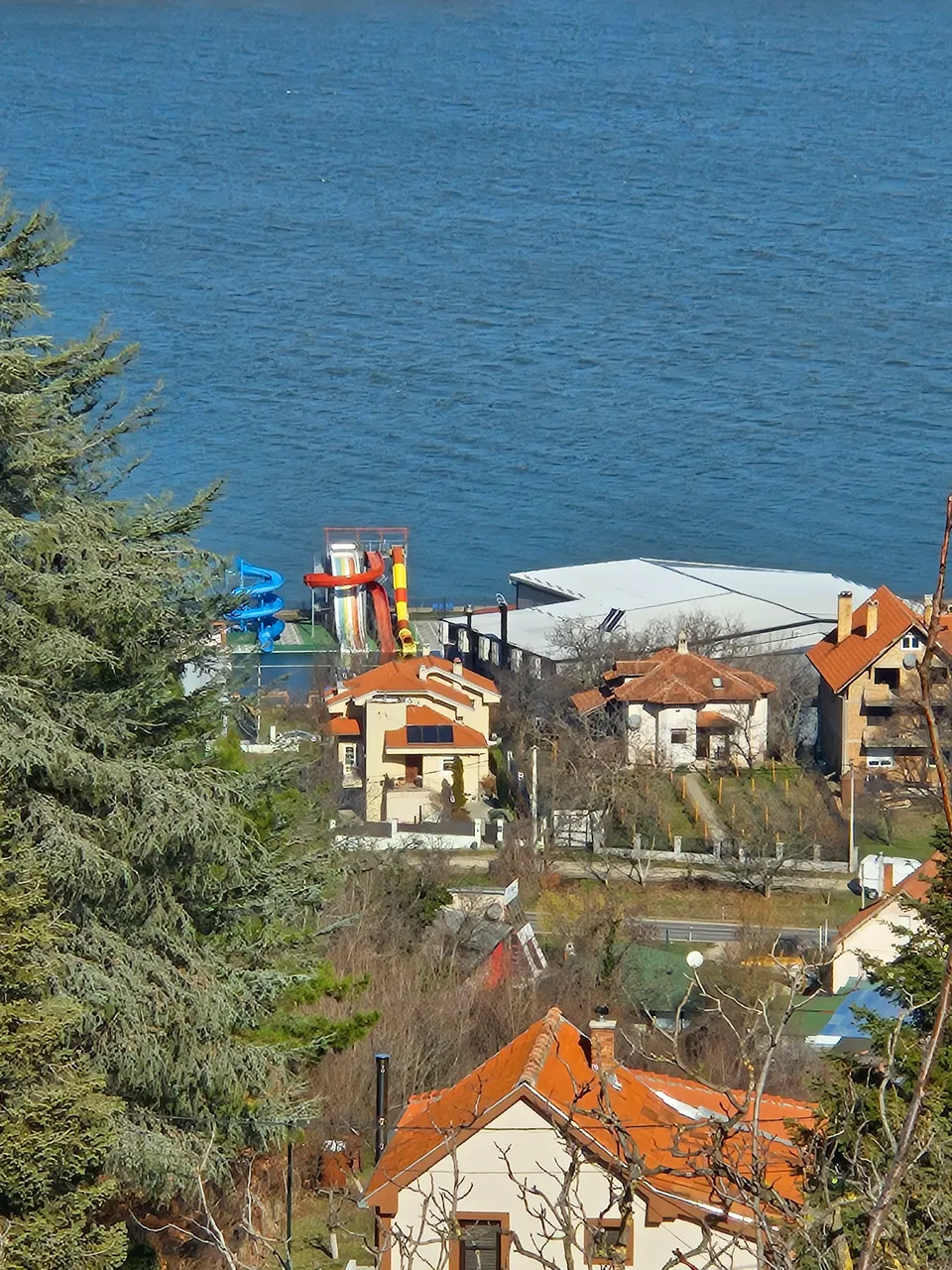 20250208_111124.jpg