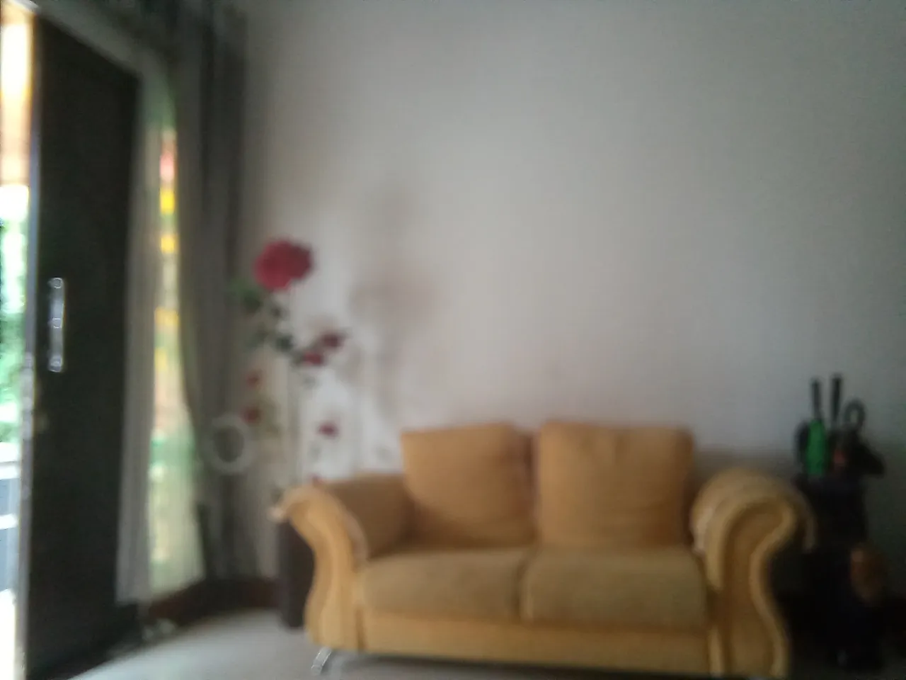 20230419_161656.jpg