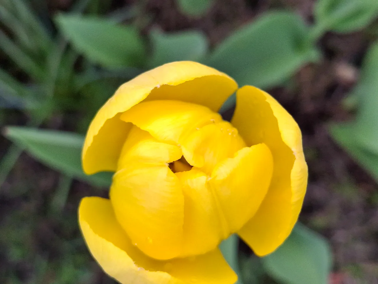 20240509_171754.jpg