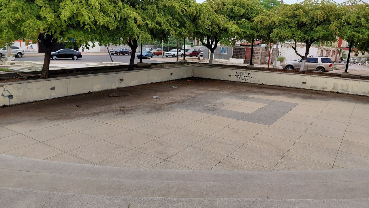 20260502_115123.jpg