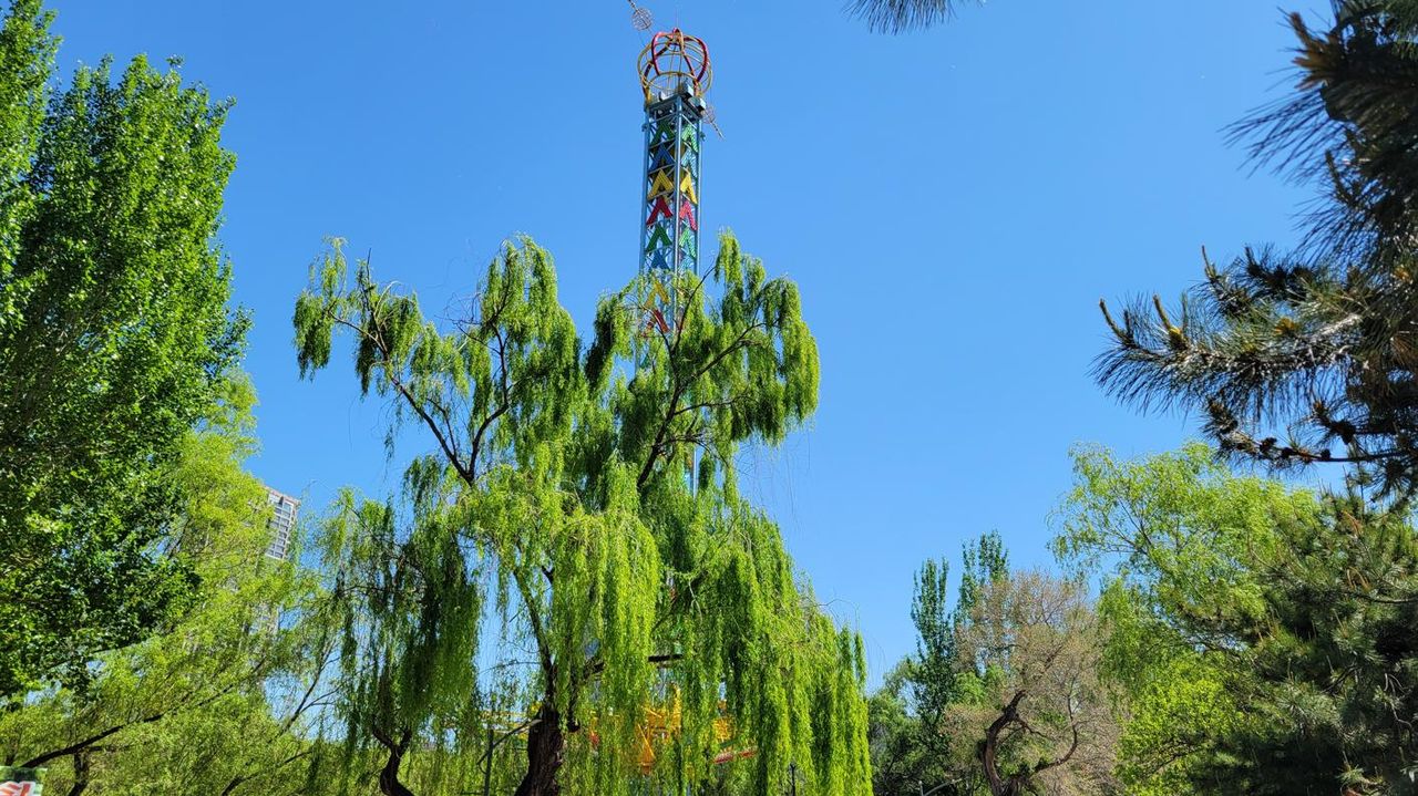20260508_095050.jpg