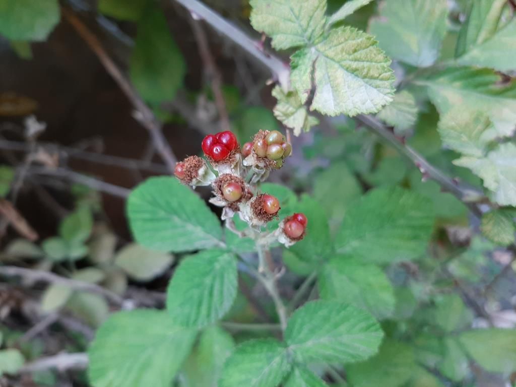 20220814_181643.jpg