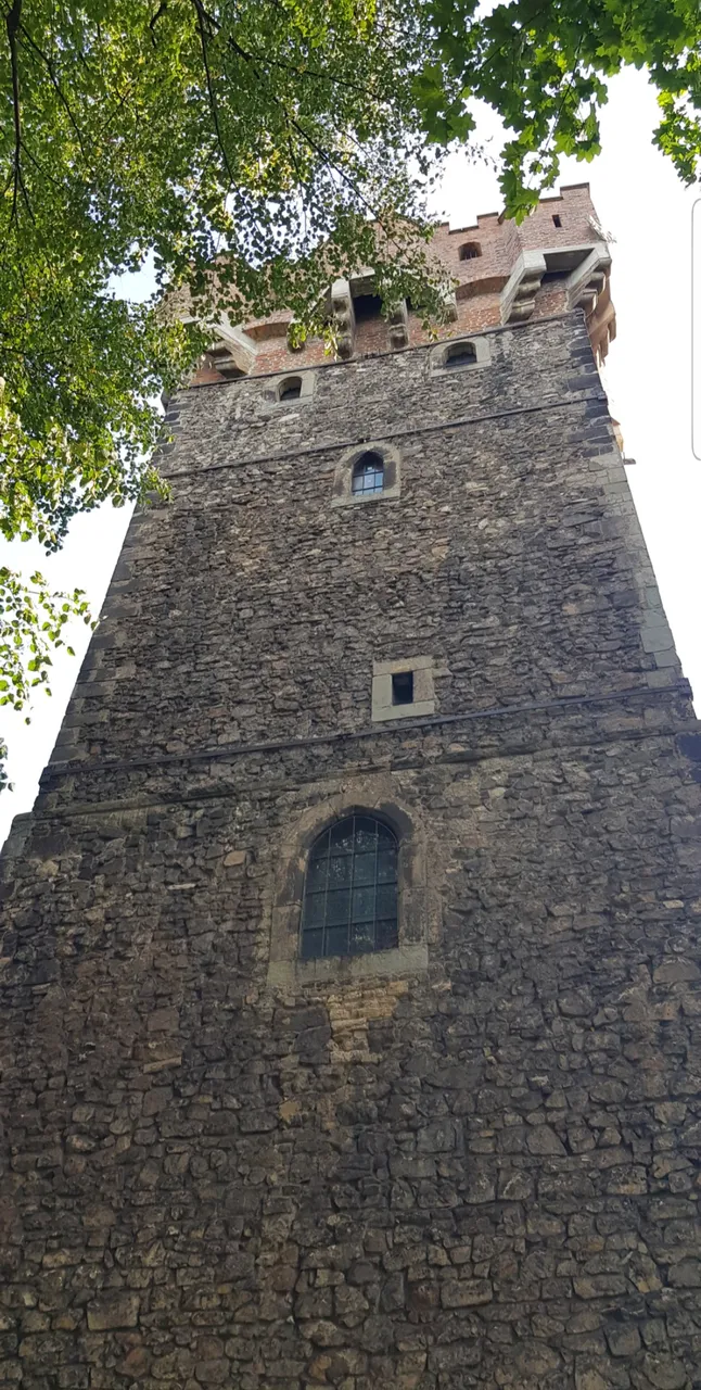 20231027_181328.jpg