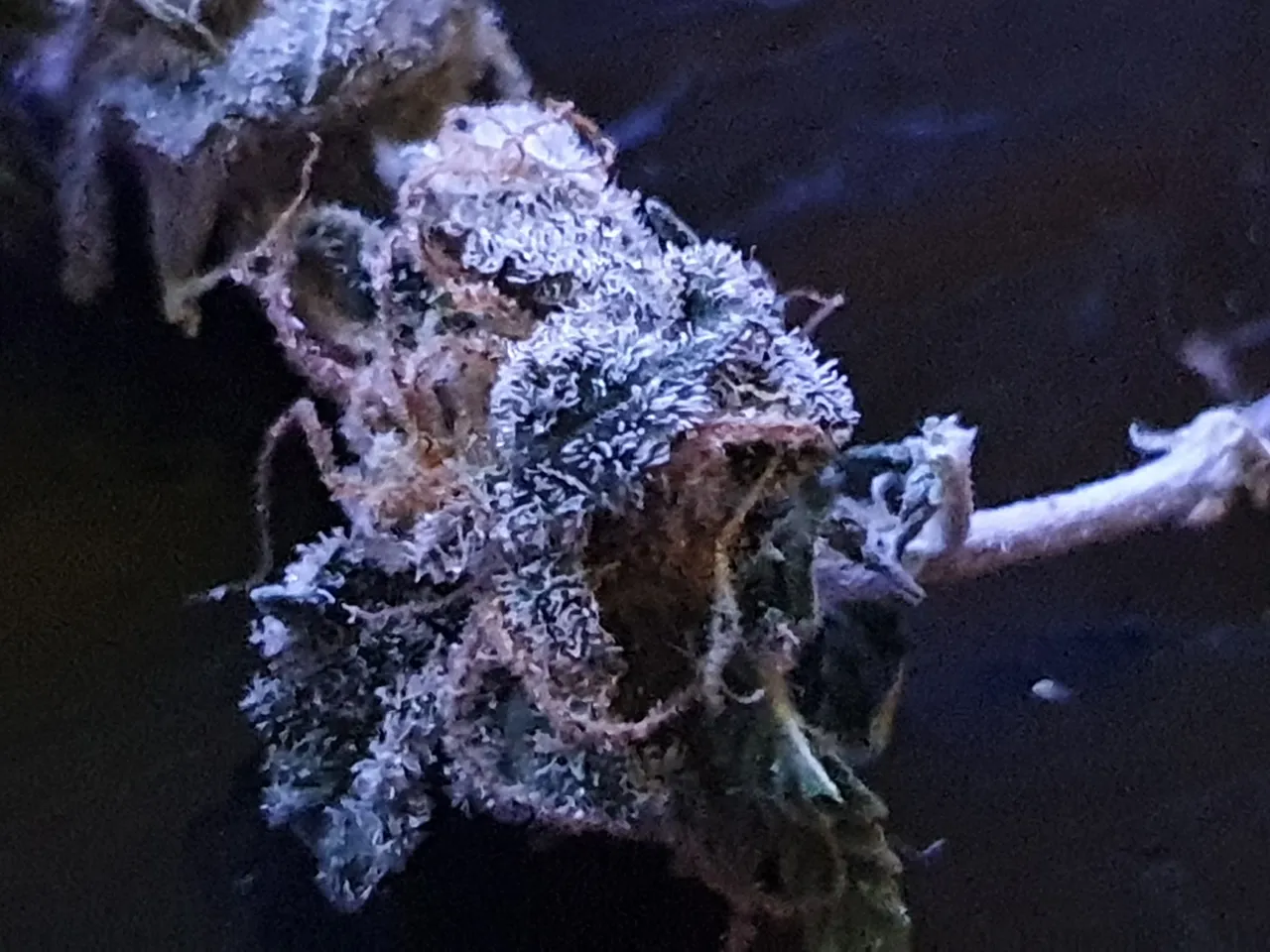 20220117_195726.jpg
