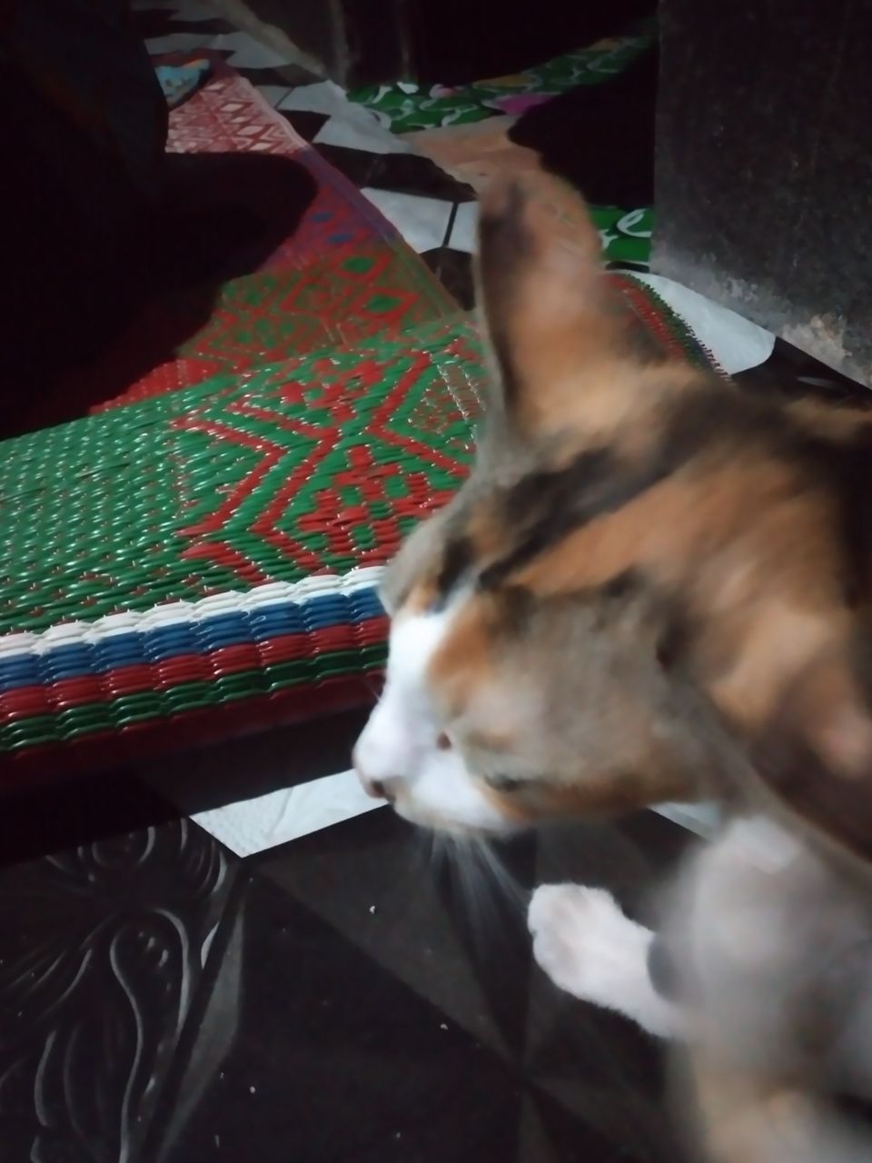 20230117_011352.jpg