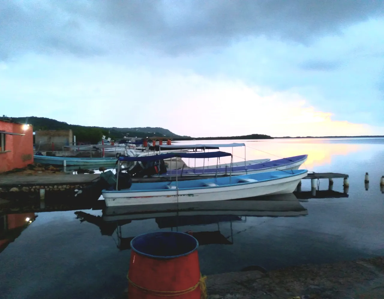 20231007_062851.jpg