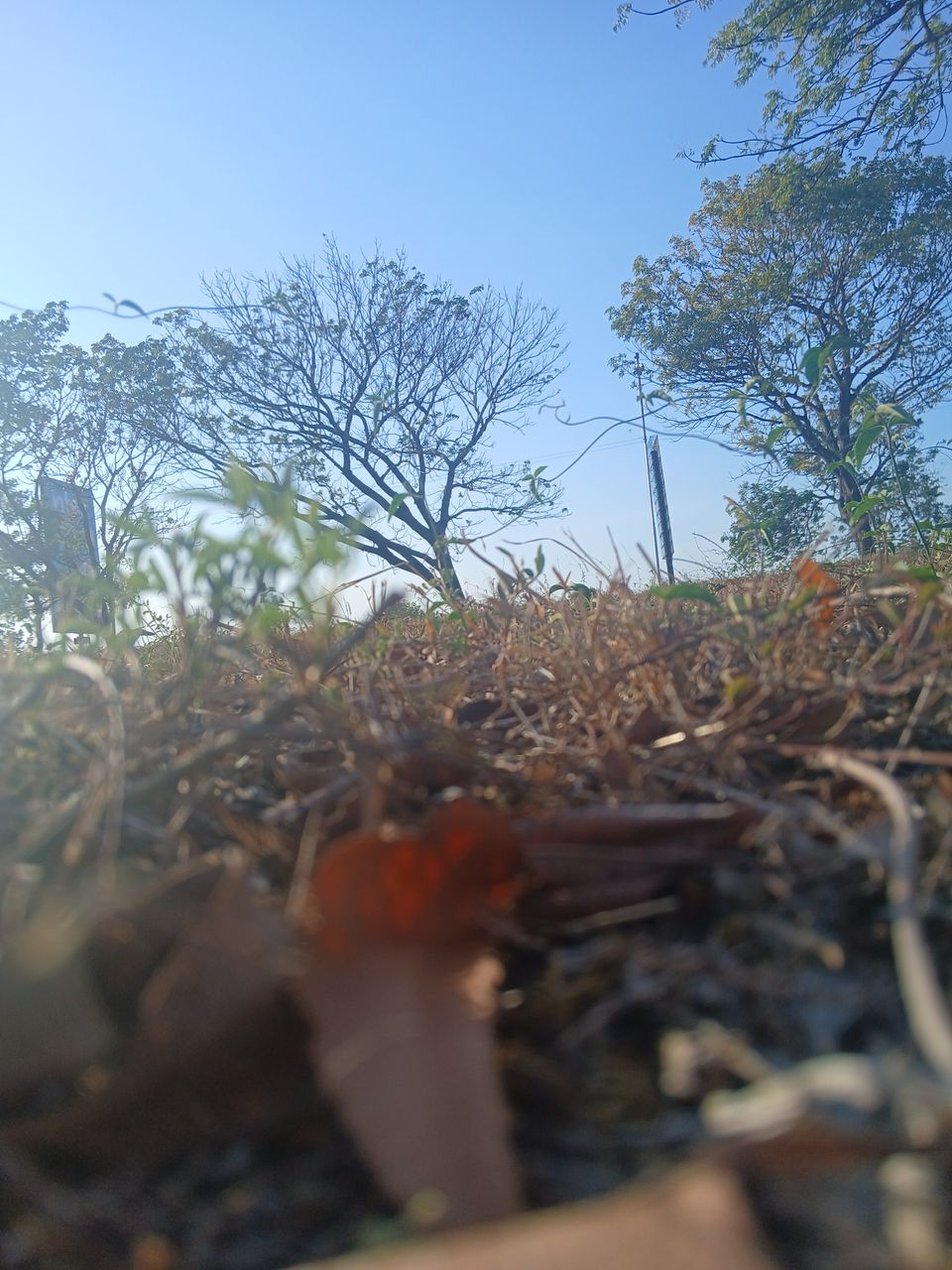20260413_170336.jpg