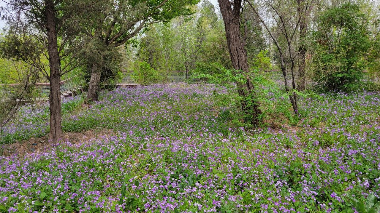 20260502_124548.jpg