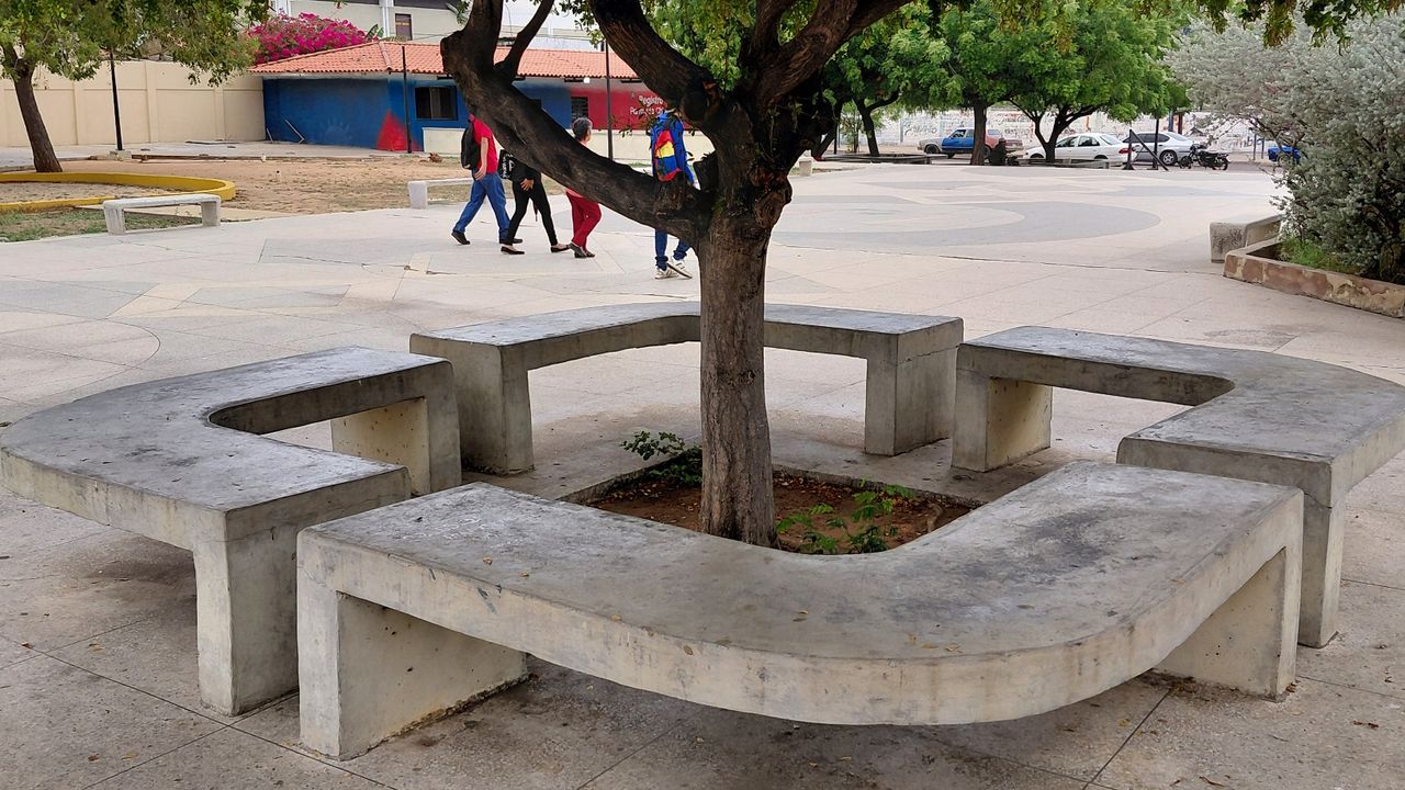 20260502_114918.jpg