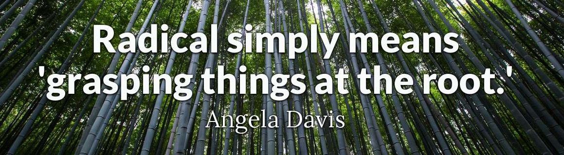 angeladavis1-2x.jpg