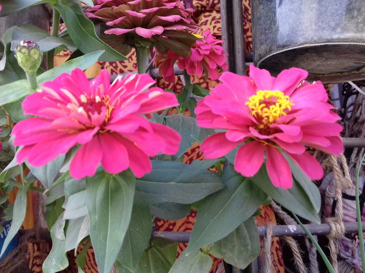 20190221_151334.jpg