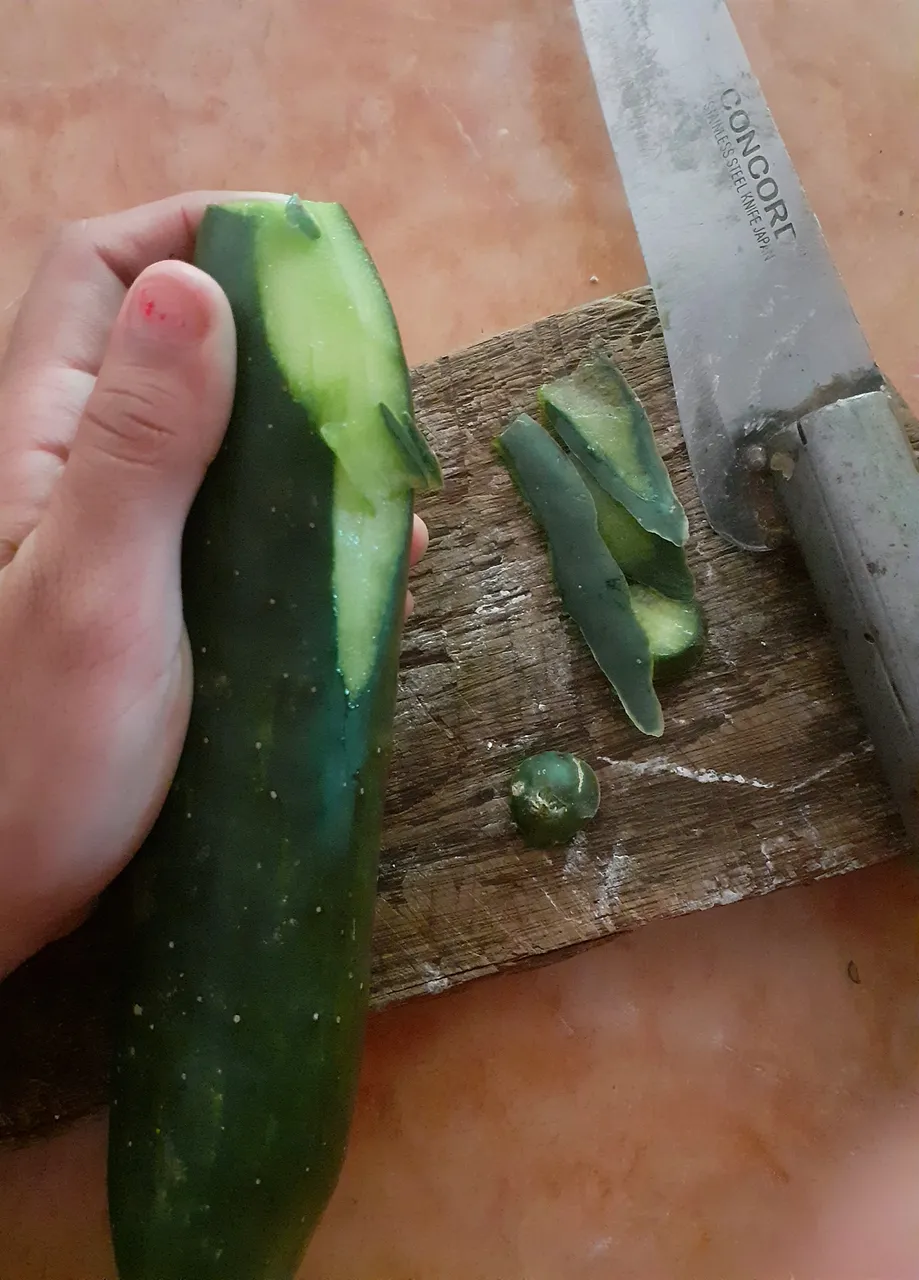 20220316_121449.jpg