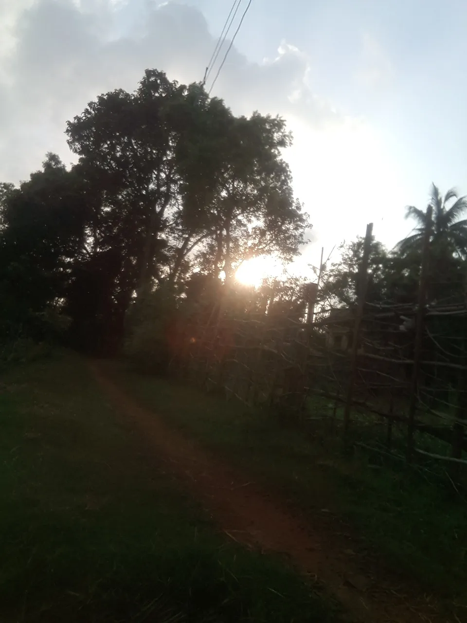 20200622_172154.jpg