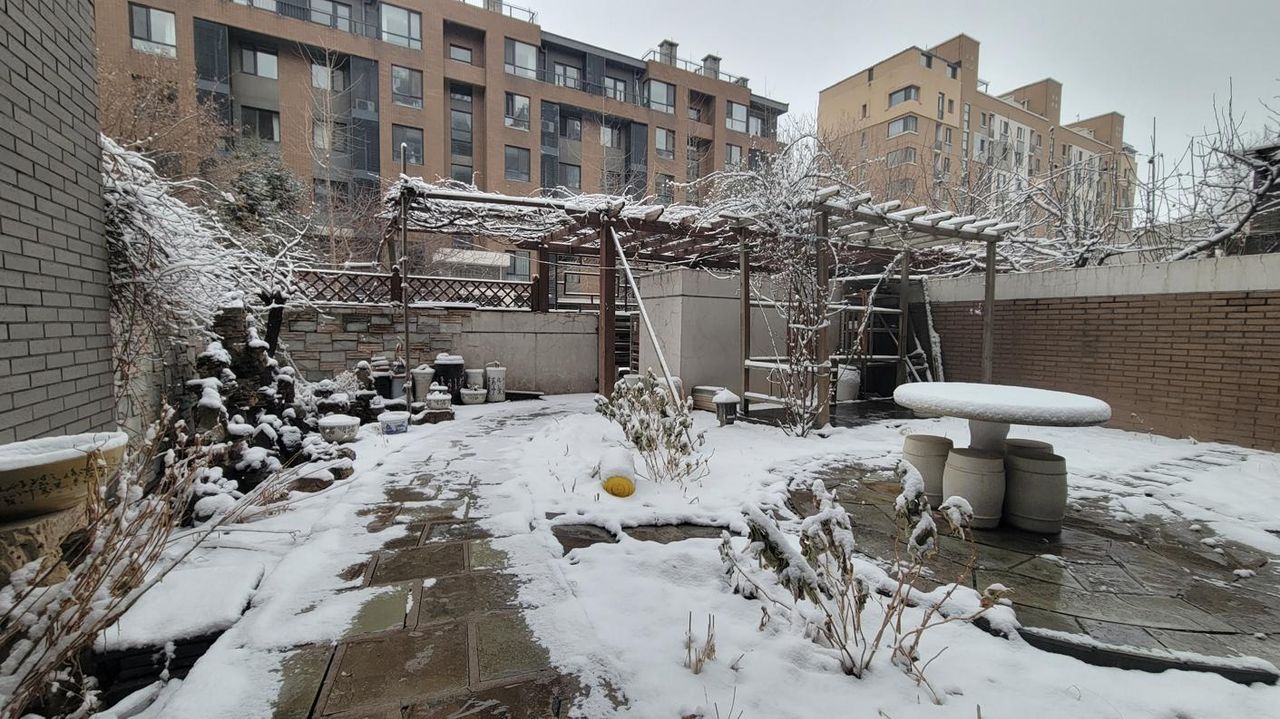 20260318_062938.jpg