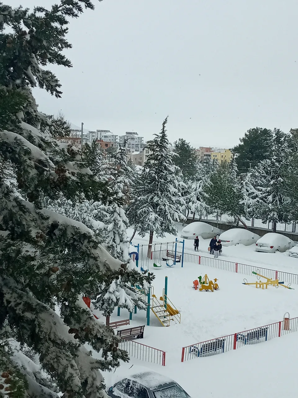 20220119_115510.jpg