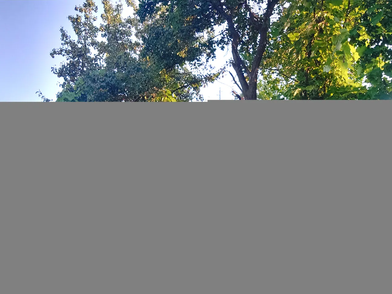 20210814_191042.jpg
