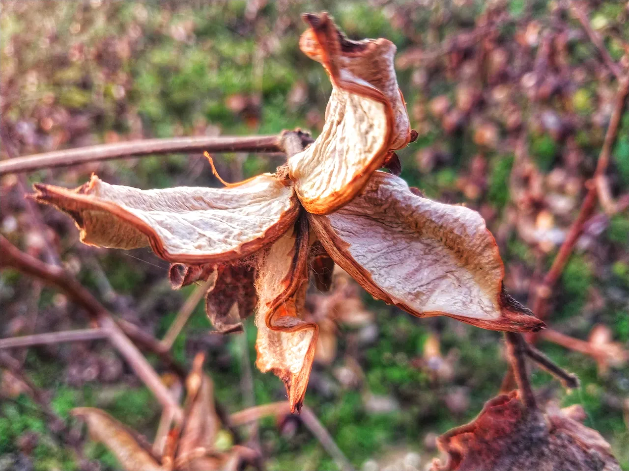 20260128_170905.jpg