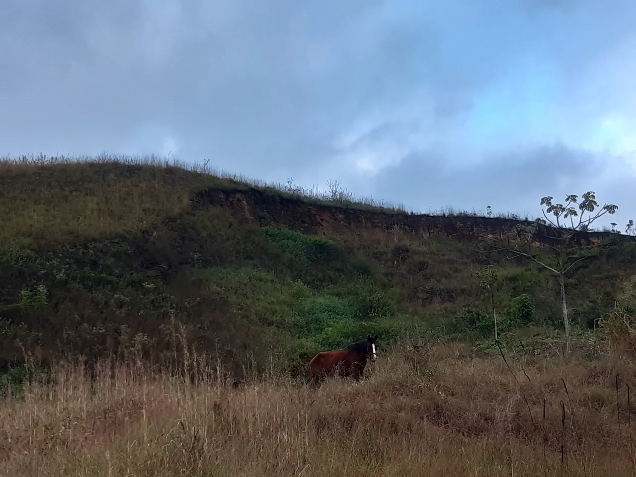 20210111_071841.jpg