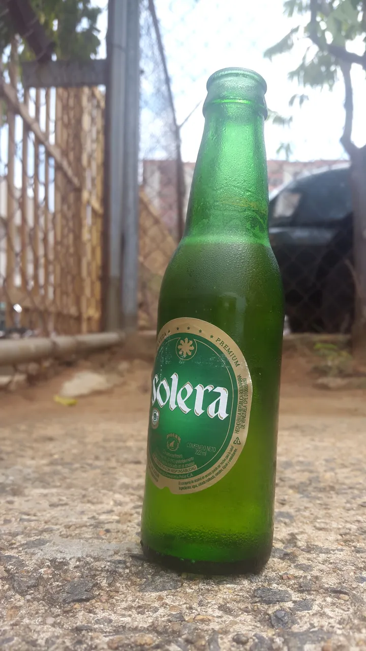 20190923_125048.jpg