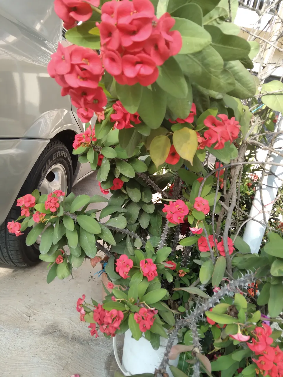 20220126_162521.jpg