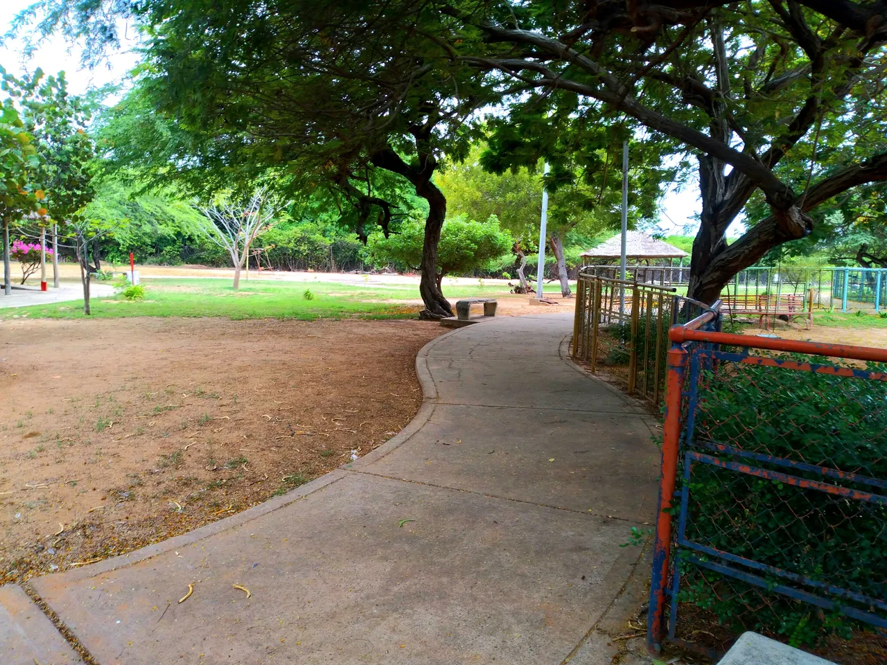 20250426_102343.jpg