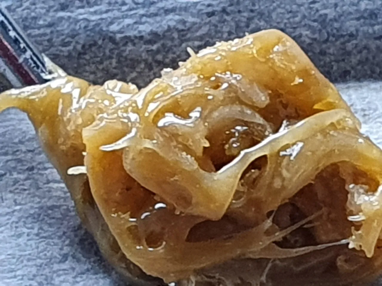 20201103_141649.jpg