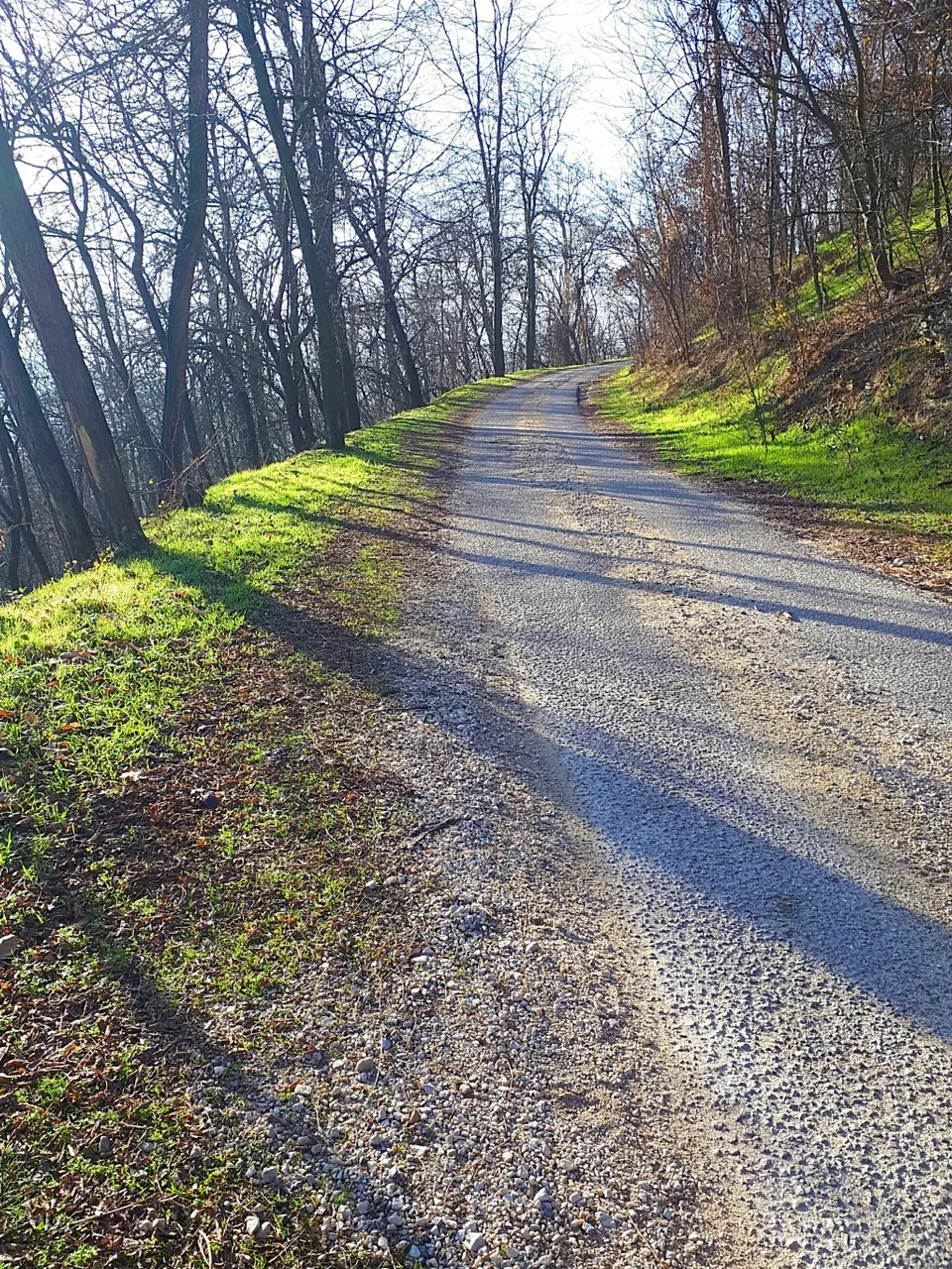 20201223_145154.jpg