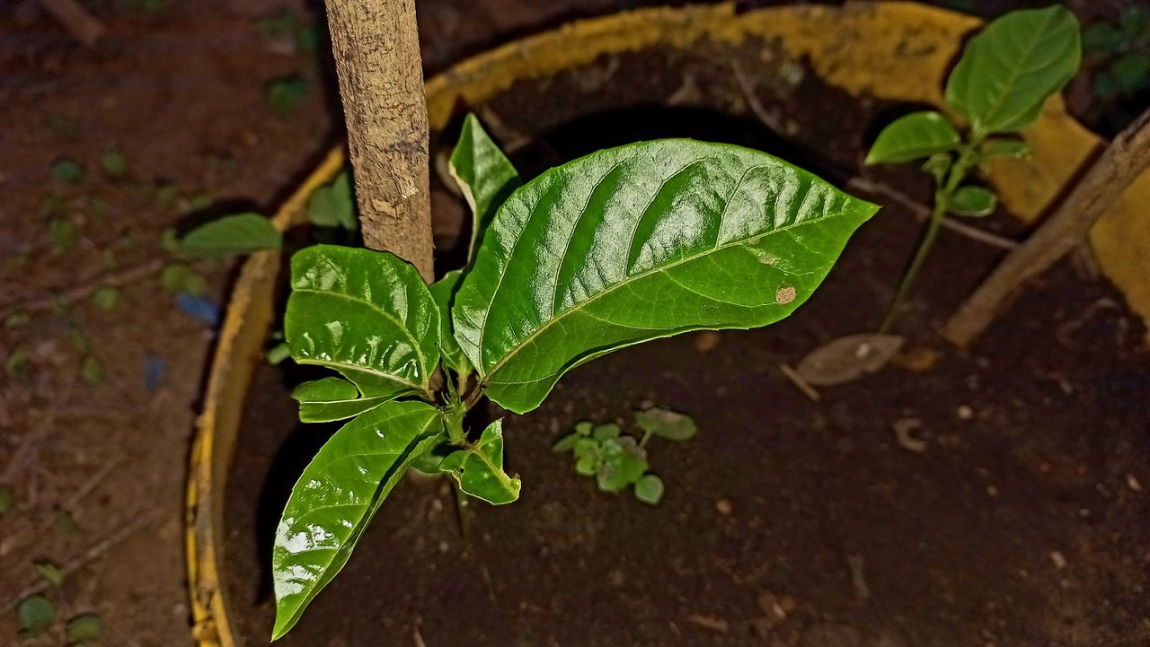 20251203_180419.jpg