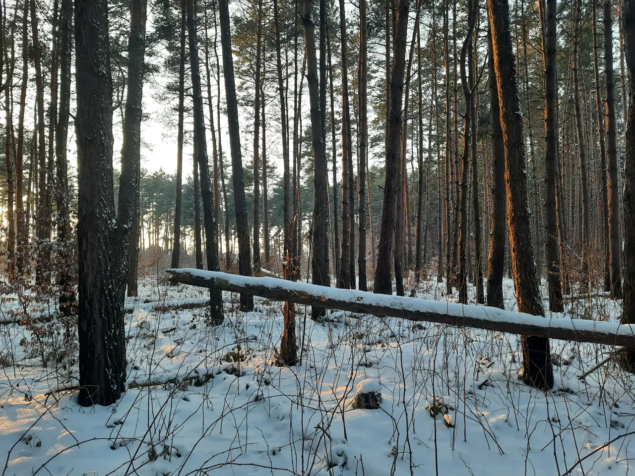 20220123_161720.jpg