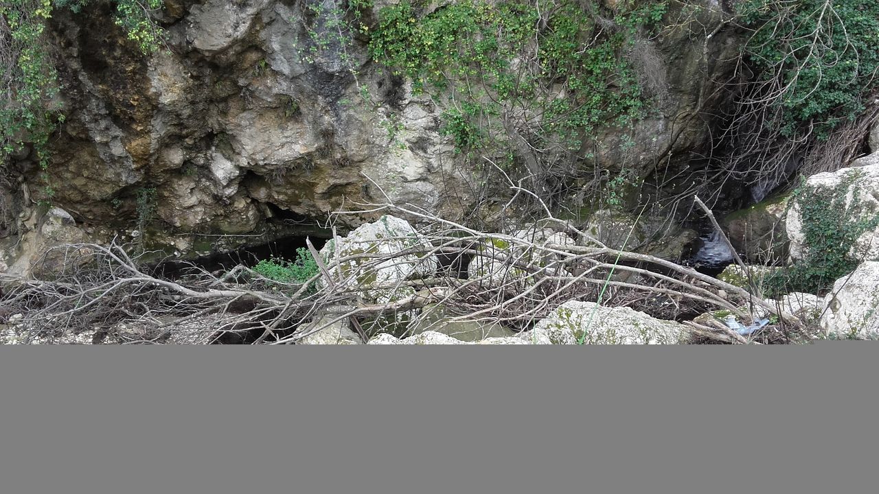 20180309_130953.jpg