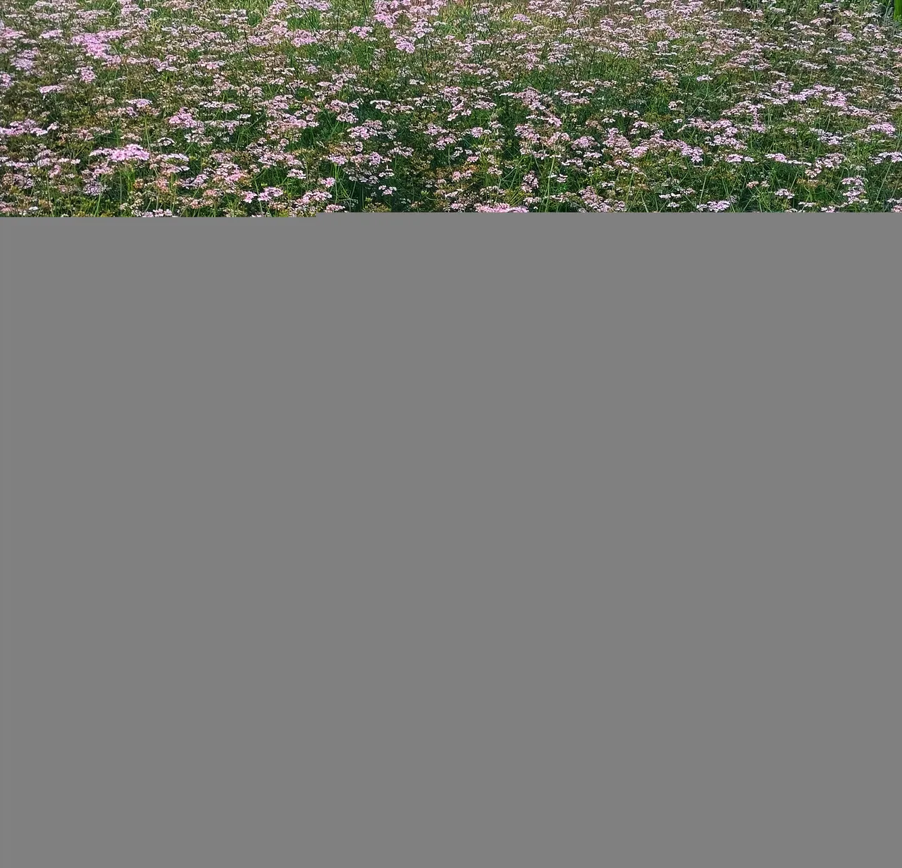 20260128_171019.jpg