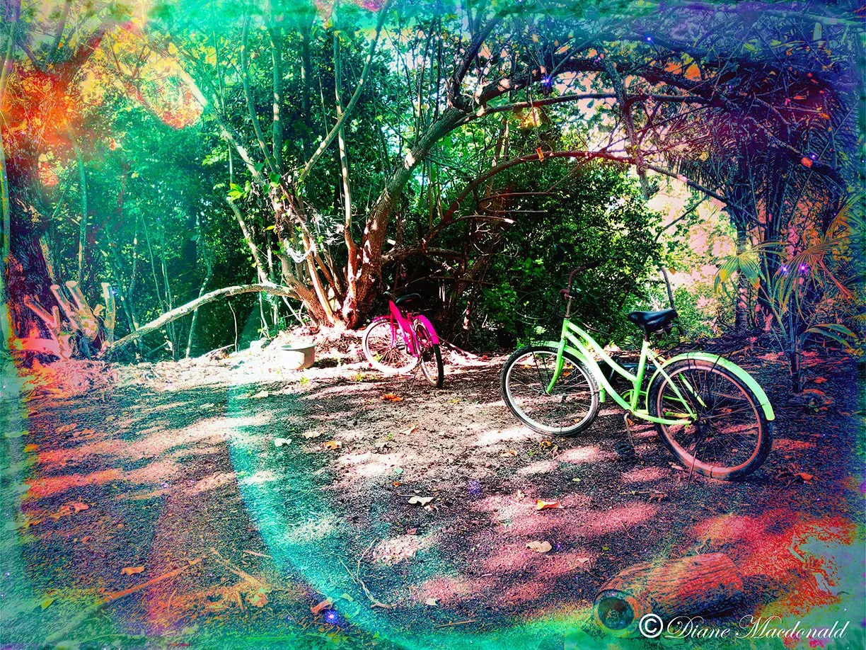 Bikes on the hill, Parea, Huahine