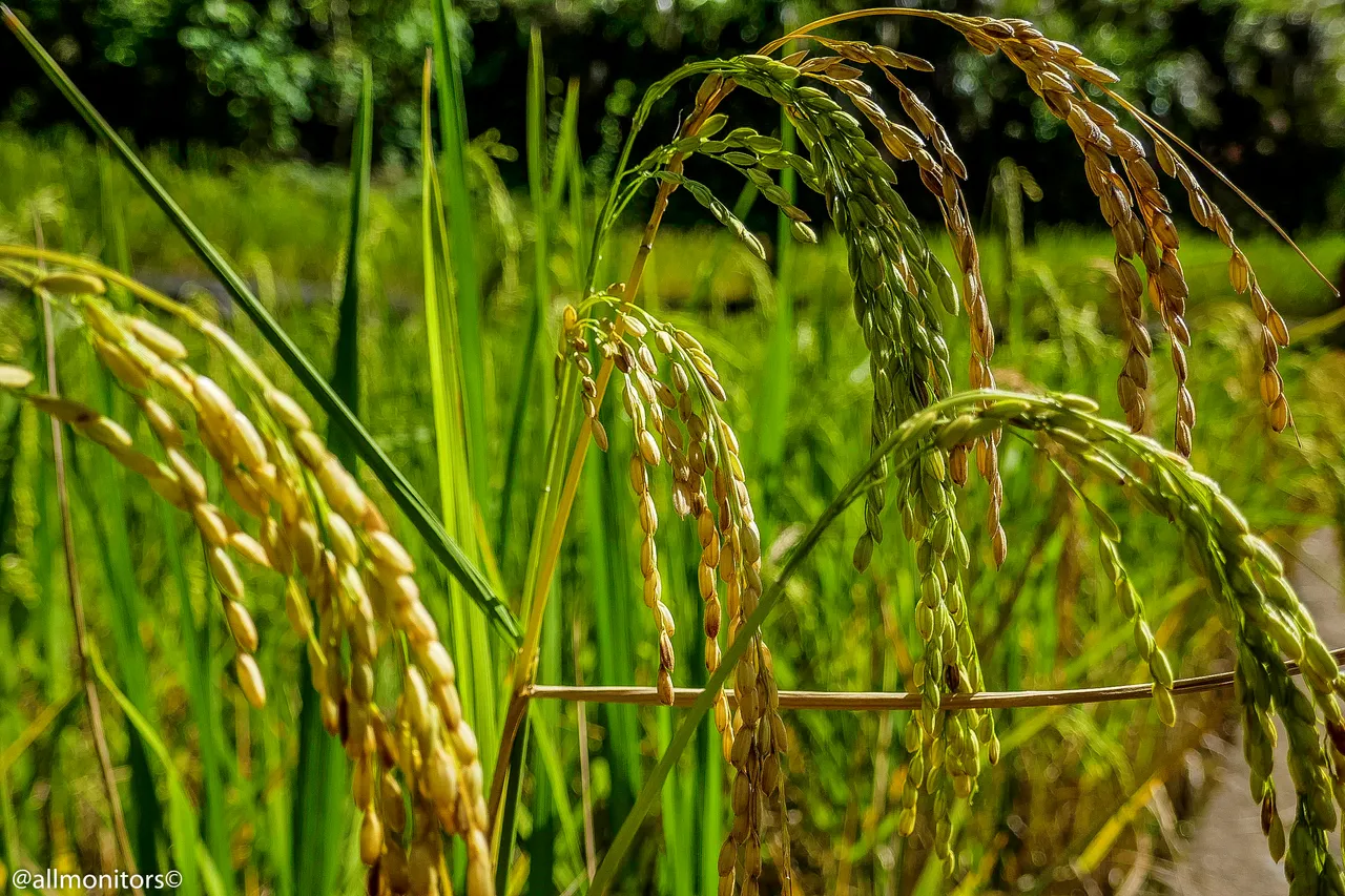 20170706142841.jpg